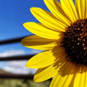 Meet your Posher, Judy